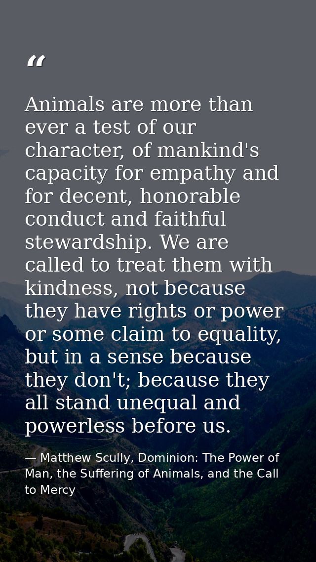 Animals are more than ever a test of our character, of mankind's capacity for empathy and for decent, honorable conduct  — Matthew Scully, Dominion: The Power of Man, the Suffering of Animals, and the Call to Mercy