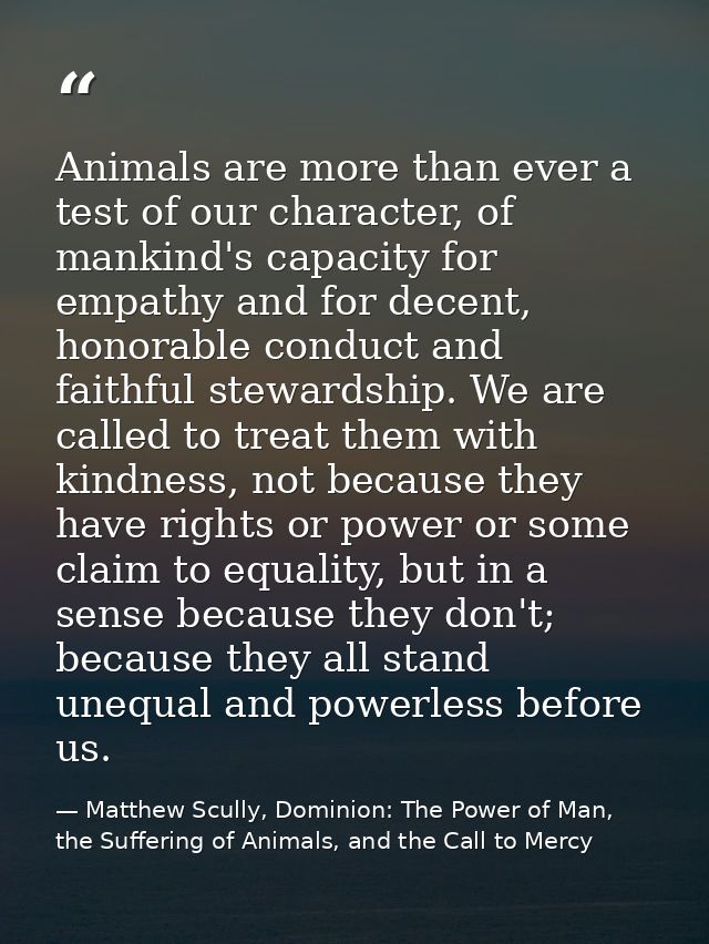 Animals are more than ever a test of our character, of mankind's capacity for empathy and for decent, honorable conduct  — Matthew Scully, Dominion: The Power of Man, the Suffering of Animals, and the Call to Mercy