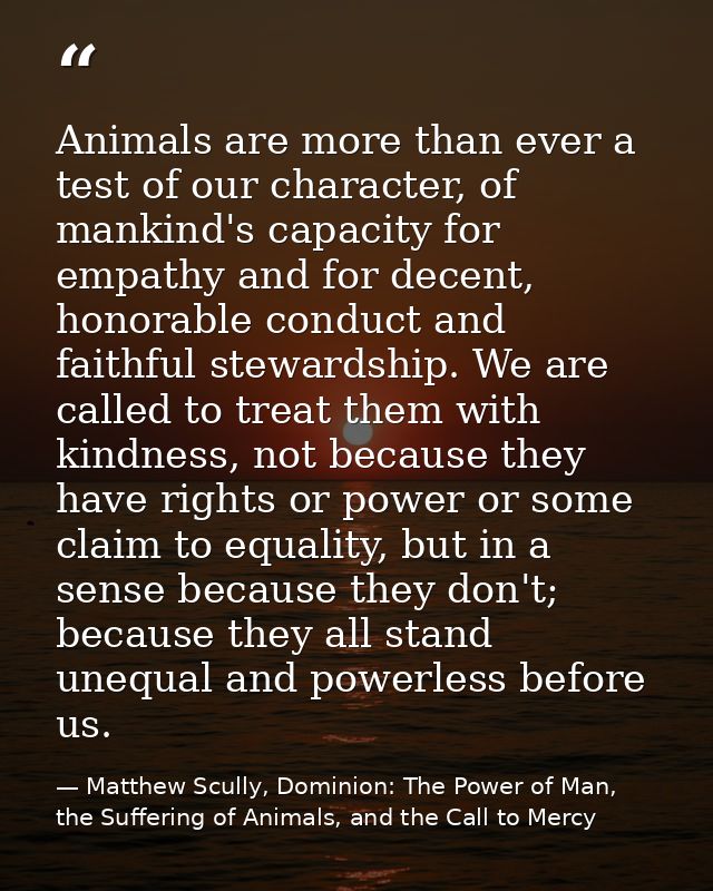 Animals are more than ever a test of our character, of mankind's capacity for empathy and for decent, honorable conduct  — Matthew Scully, Dominion: The Power of Man, the Suffering of Animals, and the Call to Mercy