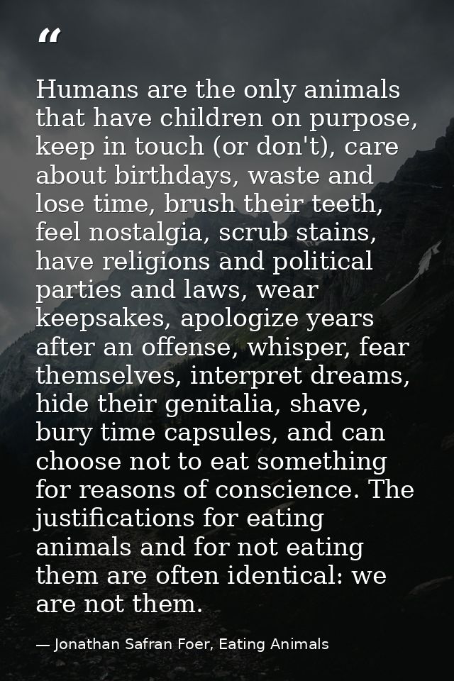 Humans are the only animals that have children on purpose, keep in touch (or don't), care about birthdays, waste and los — Jonathan Safran Foer, Eating Animals