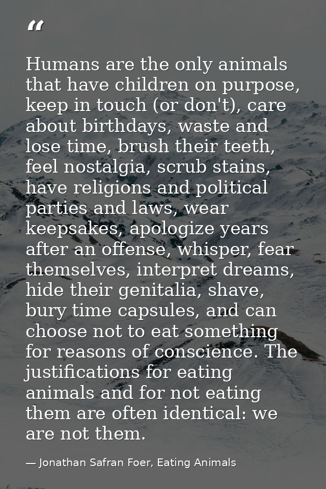Humans are the only animals that have children on purpose, keep in touch (or don't), care about birthdays, waste and los — Jonathan Safran Foer, Eating Animals