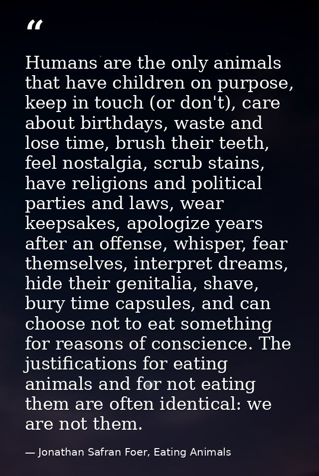 Humans are the only animals that have children on purpose, keep in touch (or don't), care about birthdays, waste and los — Jonathan Safran Foer, Eating Animals