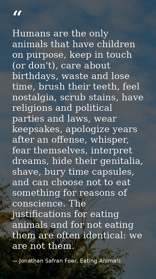 Humans are the only animals that have children on purpose, keep in touch (or don't), care about birthdays, waste and los — Jonathan Safran Foer, Eating Animals