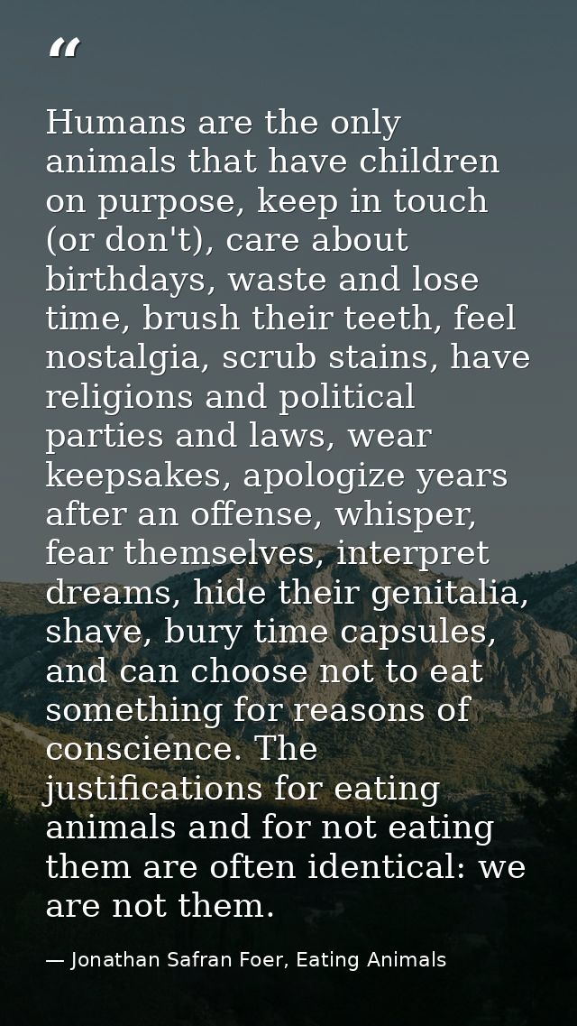 Humans are the only animals that have children on purpose, keep in touch (or don't), care about birthdays, waste and los — Jonathan Safran Foer, Eating Animals