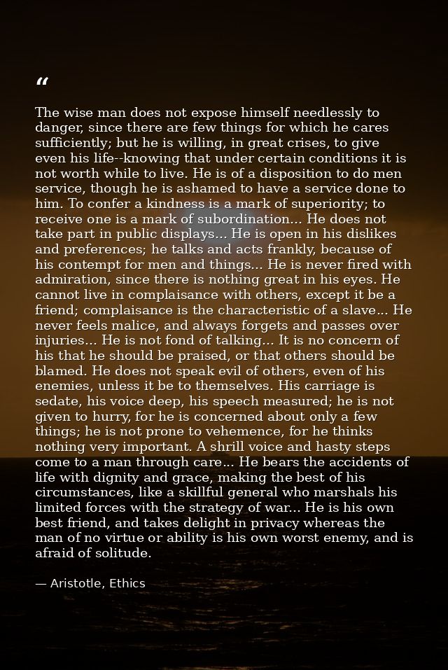The wise man does not expose himself needlessly to danger, since there are few things for which he cares sufficiently; b — Aristotle, Ethics
