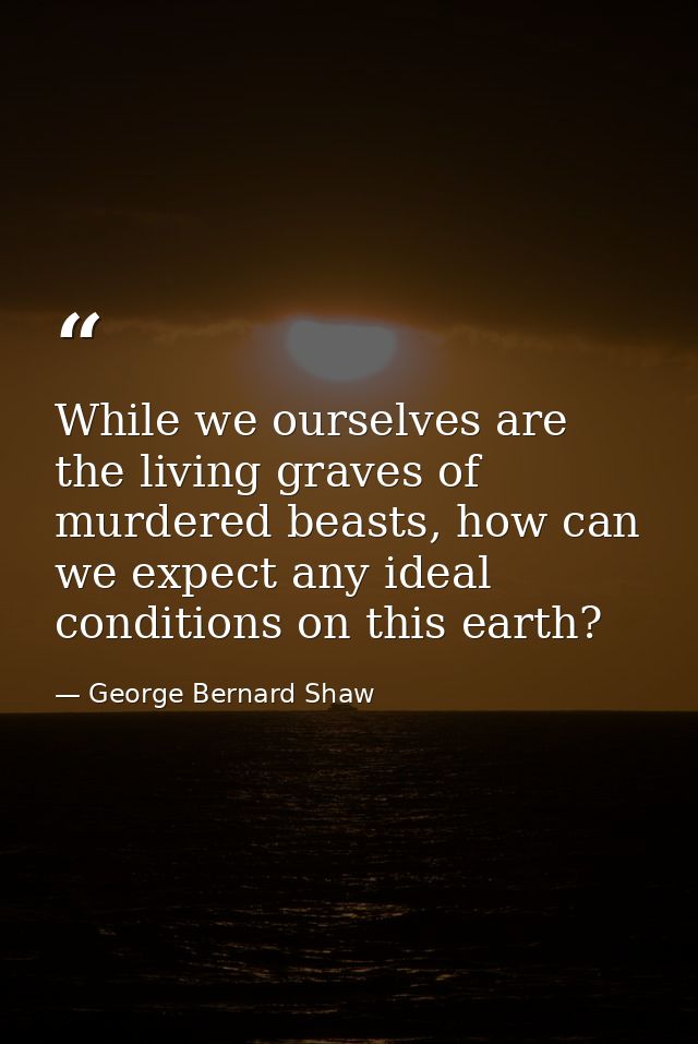 While we ourselves are the living graves of murdered beasts, how can we expect any ideal conditions on this earth? — George Bernard Shaw