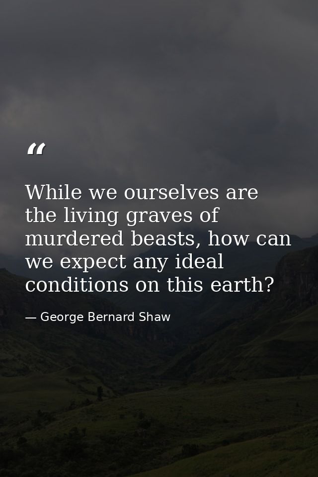 While we ourselves are the living graves of murdered beasts, how can we expect any ideal conditions on this earth? — George Bernard Shaw