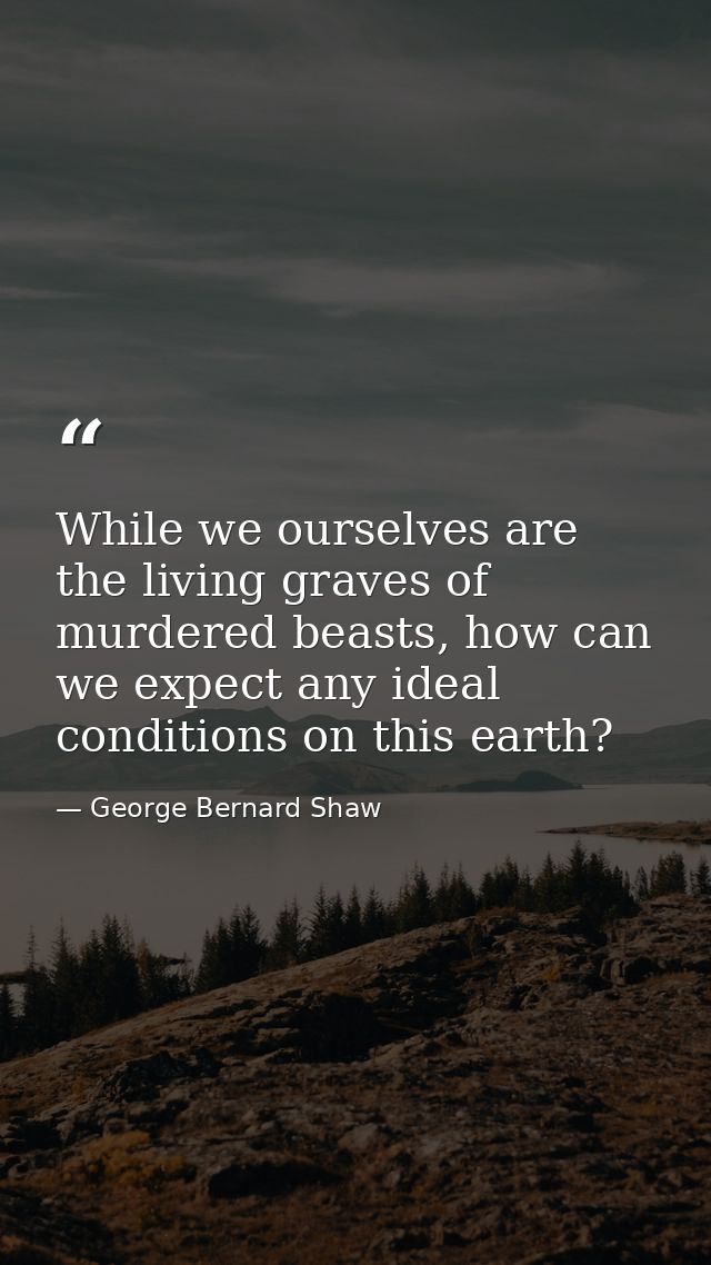 While we ourselves are the living graves of murdered beasts, how can we expect any ideal conditions on this earth? — George Bernard Shaw