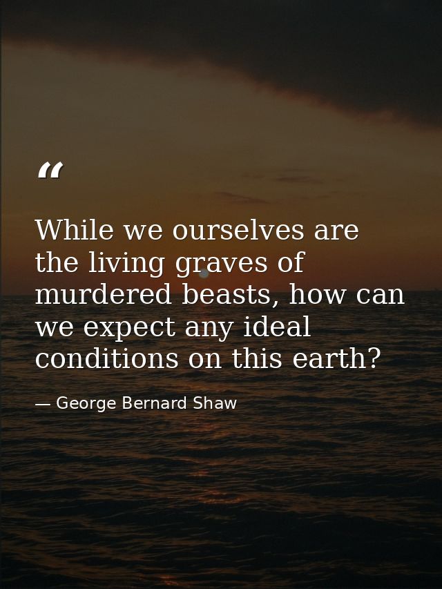 While we ourselves are the living graves of murdered beasts, how can we expect any ideal conditions on this earth? — George Bernard Shaw