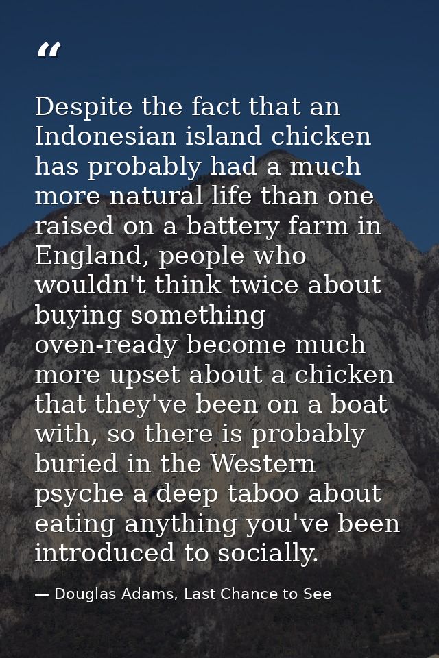 Despite the fact that an Indonesian island chicken has probably had a much more natural life than one raised on a batter — Douglas Adams, Last Chance to See