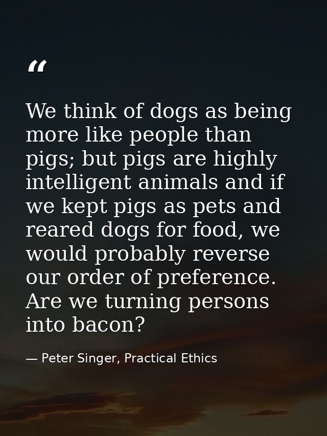 We think of dogs as being more like people than pigs; but pigs are highly intelligent animals and if we kept pigs as pet — Peter Singer, Practical Ethics