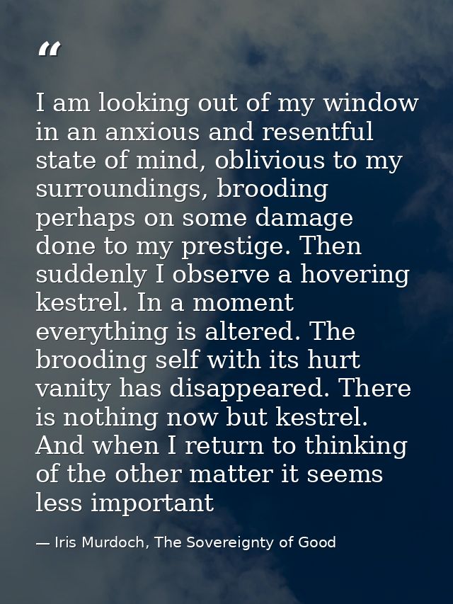 I am looking out of my window in an anxious and resentful state of mind, oblivious to my surroundings, brooding perhaps  — Iris Murdoch, The Sovereignty of Good