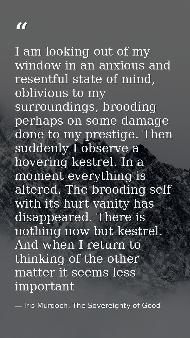 I am looking out of my window in an anxious and resentful state of mind, oblivious to my surroundings, brooding perhaps  — Iris Murdoch, The Sovereignty of Good