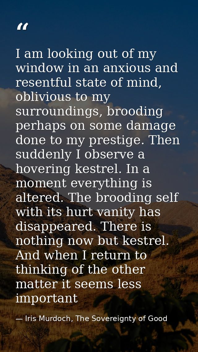 I am looking out of my window in an anxious and resentful state of mind, oblivious to my surroundings, brooding perhaps  — Iris Murdoch, The Sovereignty of Good