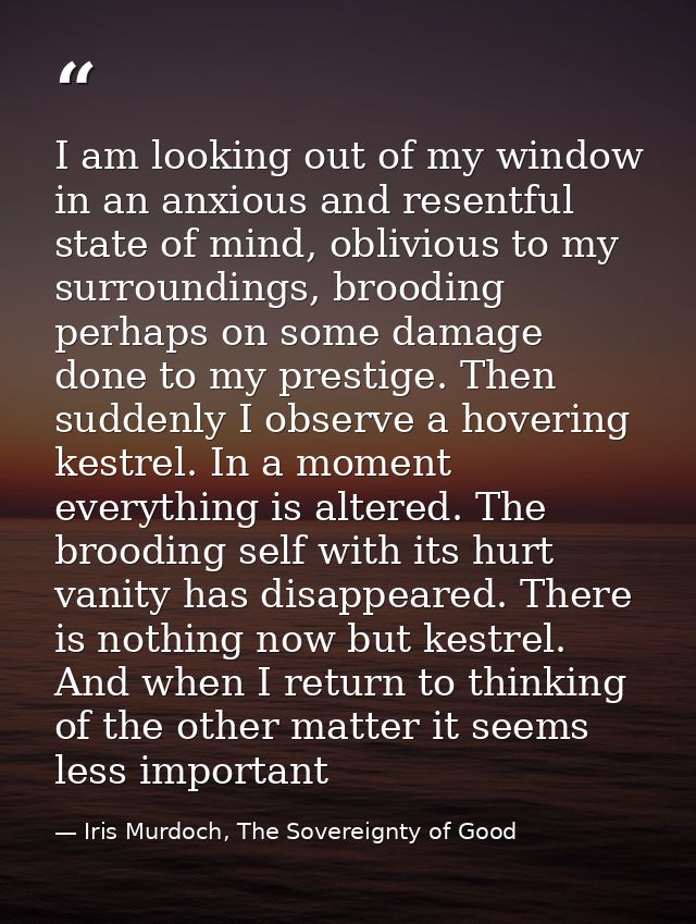 I am looking out of my window in an anxious and resentful state of mind, oblivious to my surroundings, brooding perhaps  — Iris Murdoch, The Sovereignty of Good