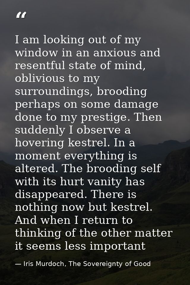 I am looking out of my window in an anxious and resentful state of mind, oblivious to my surroundings, brooding perhaps  — Iris Murdoch, The Sovereignty of Good