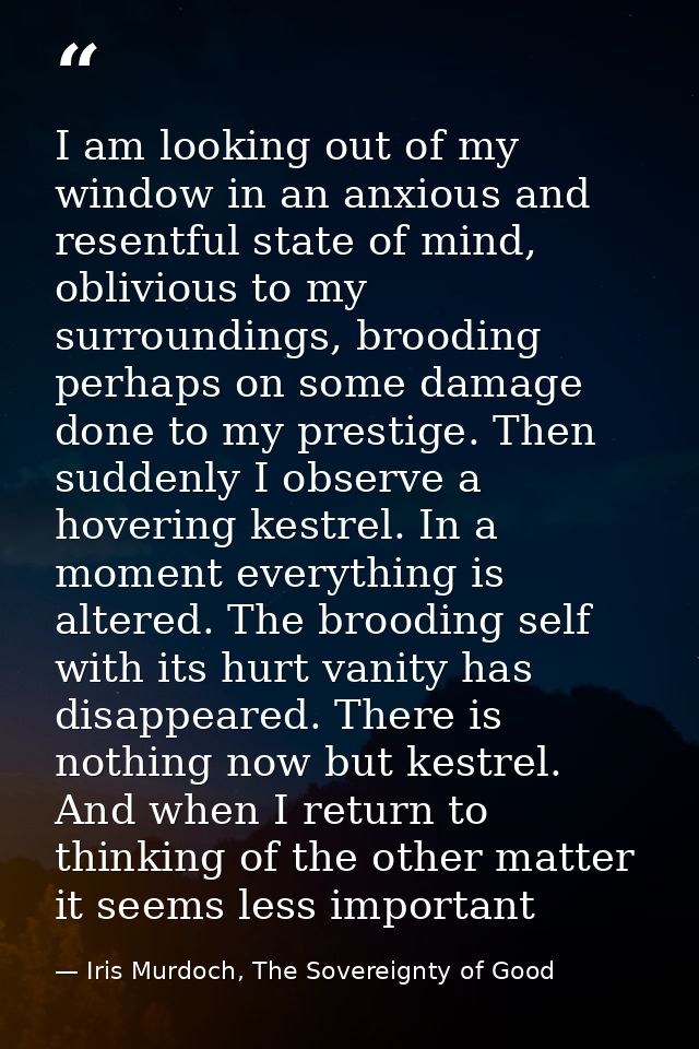 I am looking out of my window in an anxious and resentful state of mind, oblivious to my surroundings, brooding perhaps  — Iris Murdoch, The Sovereignty of Good
