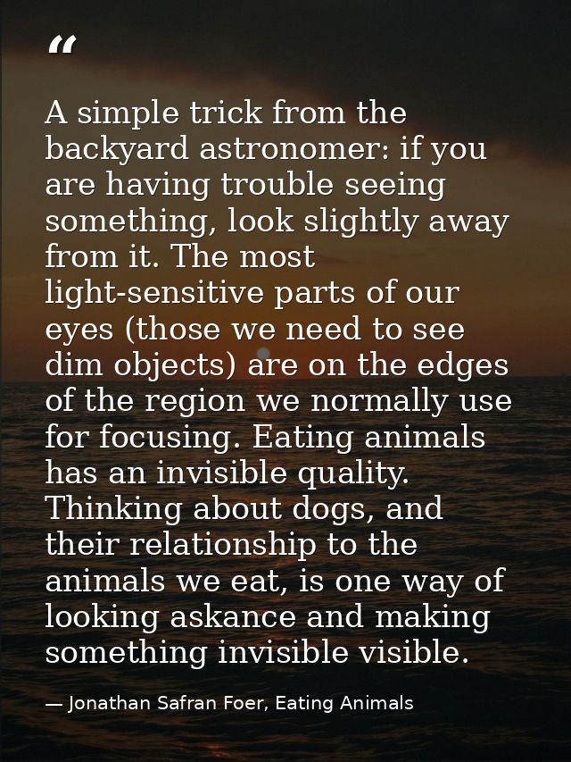 A simple trick from the backyard astronomer: if you are having trouble seeing something, look slightly away from it. The — Jonathan Safran Foer, Eating Animals