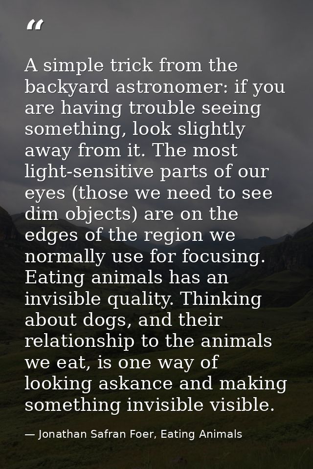 A simple trick from the backyard astronomer: if you are having trouble seeing something, look slightly away from it. The — Jonathan Safran Foer, Eating Animals