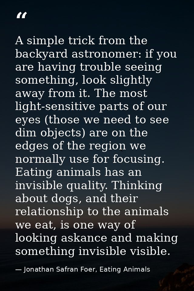 A simple trick from the backyard astronomer: if you are having trouble seeing something, look slightly away from it. The — Jonathan Safran Foer, Eating Animals