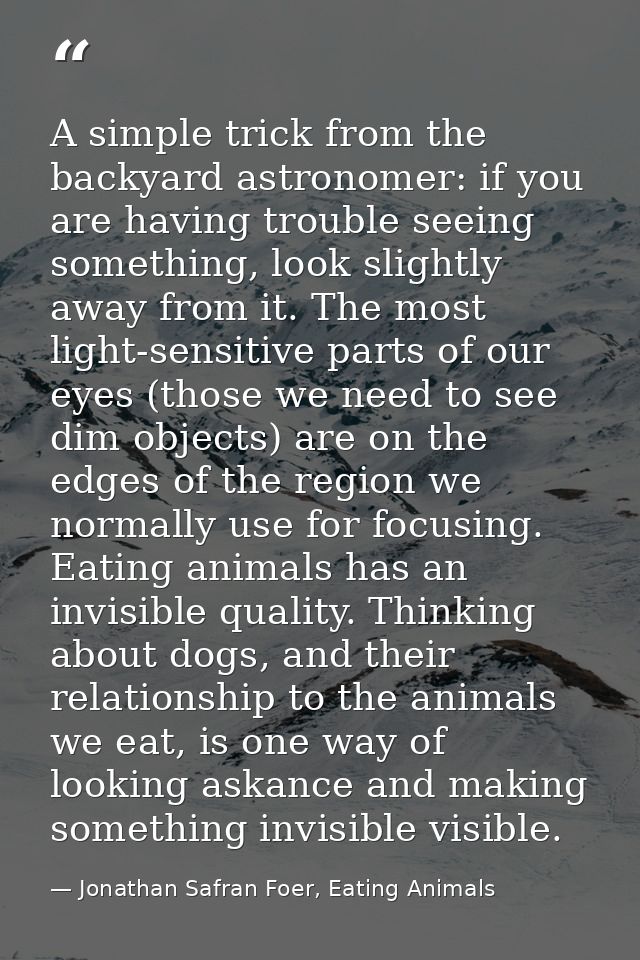 A simple trick from the backyard astronomer: if you are having trouble seeing something, look slightly away from it. The — Jonathan Safran Foer, Eating Animals