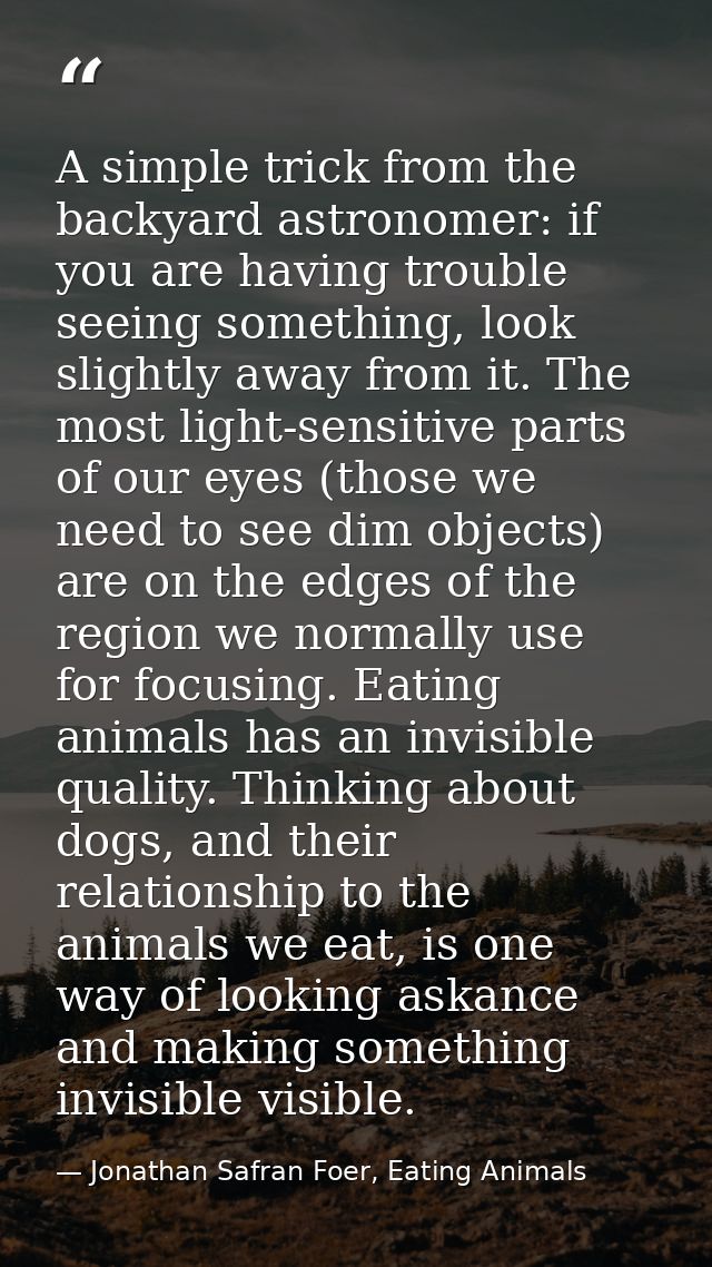 A simple trick from the backyard astronomer: if you are having trouble seeing something, look slightly away from it. The — Jonathan Safran Foer, Eating Animals