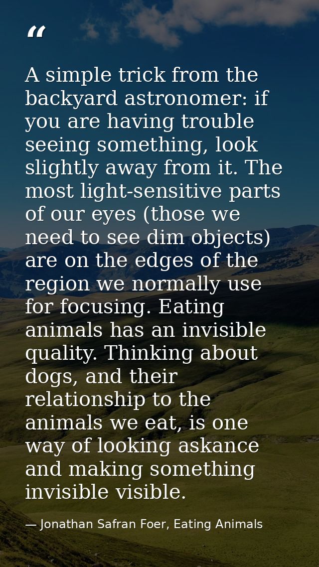 A simple trick from the backyard astronomer: if you are having trouble seeing something, look slightly away from it. The — Jonathan Safran Foer, Eating Animals