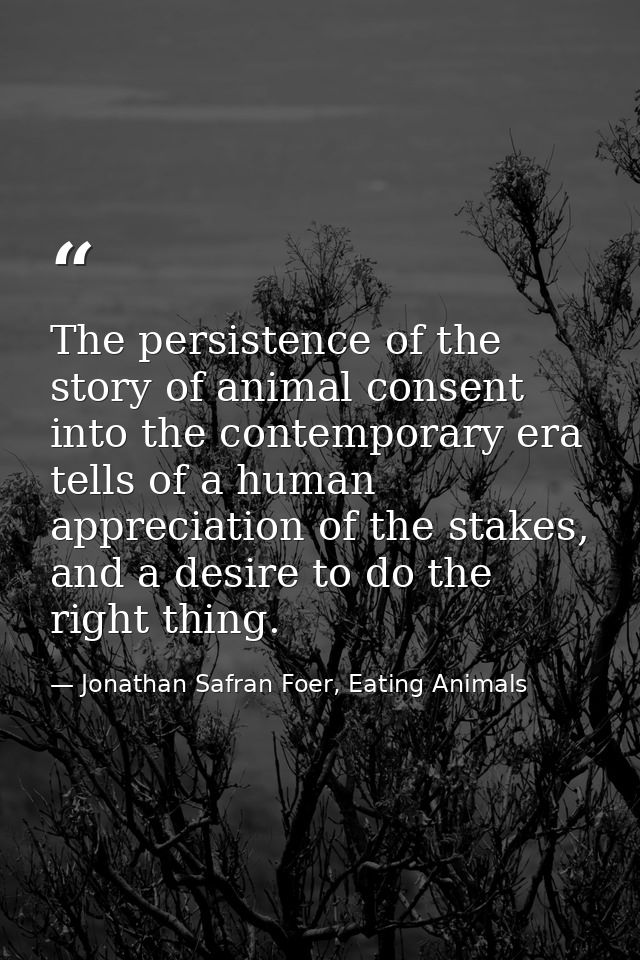 The persistence of the story of animal consent into the contemporary era tells of a human appreciation of the stakes, an — Jonathan Safran Foer, Eating Animals