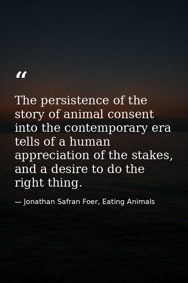 The persistence of the story of animal consent into the contemporary era tells of a human appreciation of the stakes, an — Jonathan Safran Foer, Eating Animals