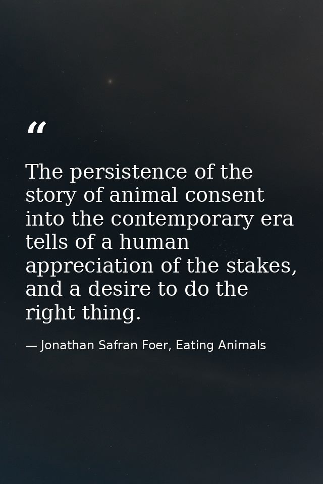 The persistence of the story of animal consent into the contemporary era tells of a human appreciation of the stakes, an — Jonathan Safran Foer, Eating Animals