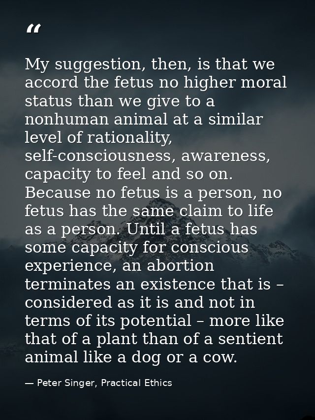 My suggestion, then, is that we accord the fetus no higher moral status than we give to a nonhuman animal at a similar l — Peter Singer, Practical Ethics