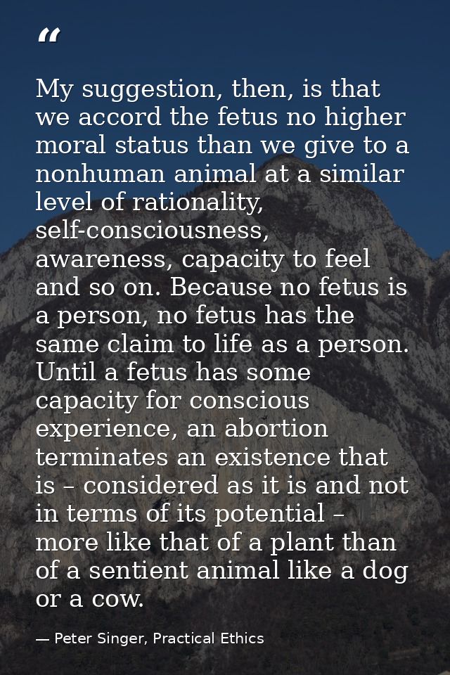 My suggestion, then, is that we accord the fetus no higher moral status than we give to a nonhuman animal at a similar l — Peter Singer, Practical Ethics