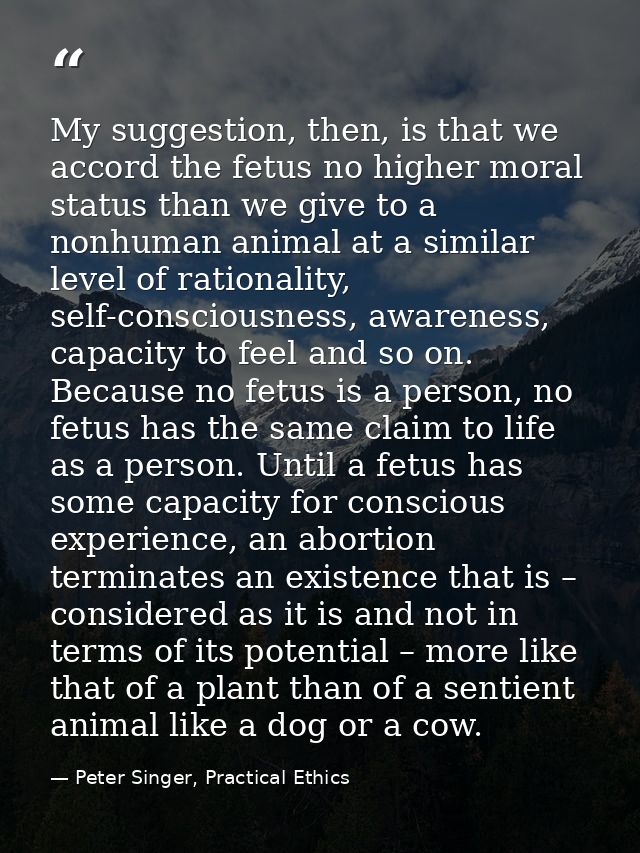 My suggestion, then, is that we accord the fetus no higher moral status than we give to a nonhuman animal at a similar l — Peter Singer, Practical Ethics