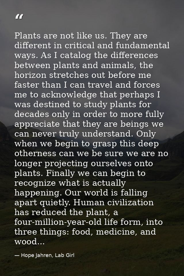 Plants are not like us. They are different in critical and fundamental ways. As I catalog the differences between plants — Hope Jahren, Lab Girl