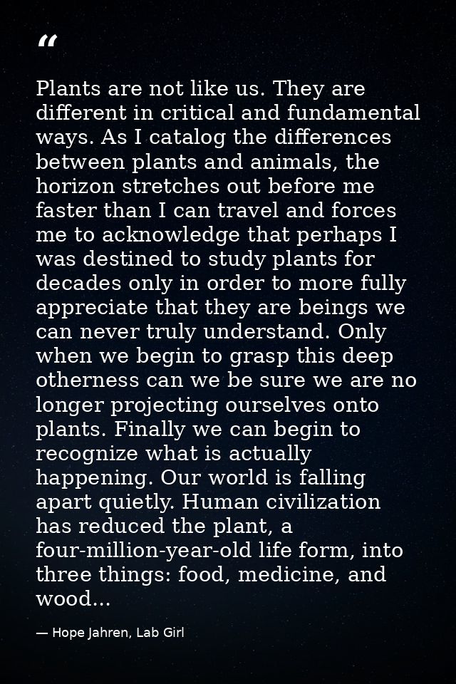 Plants are not like us. They are different in critical and fundamental ways. As I catalog the differences between plants — Hope Jahren, Lab Girl
