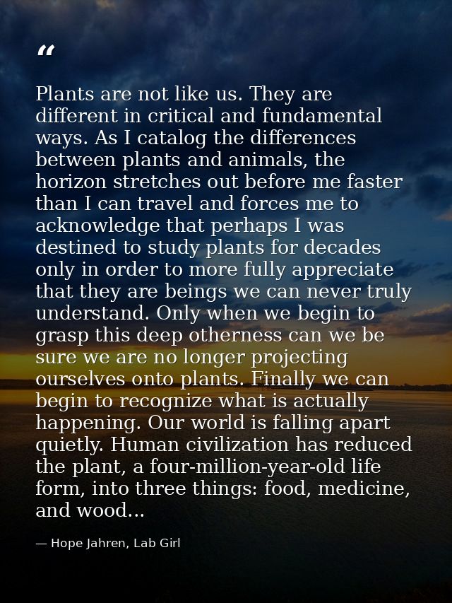Plants are not like us. They are different in critical and fundamental ways. As I catalog the differences between plants — Hope Jahren, Lab Girl