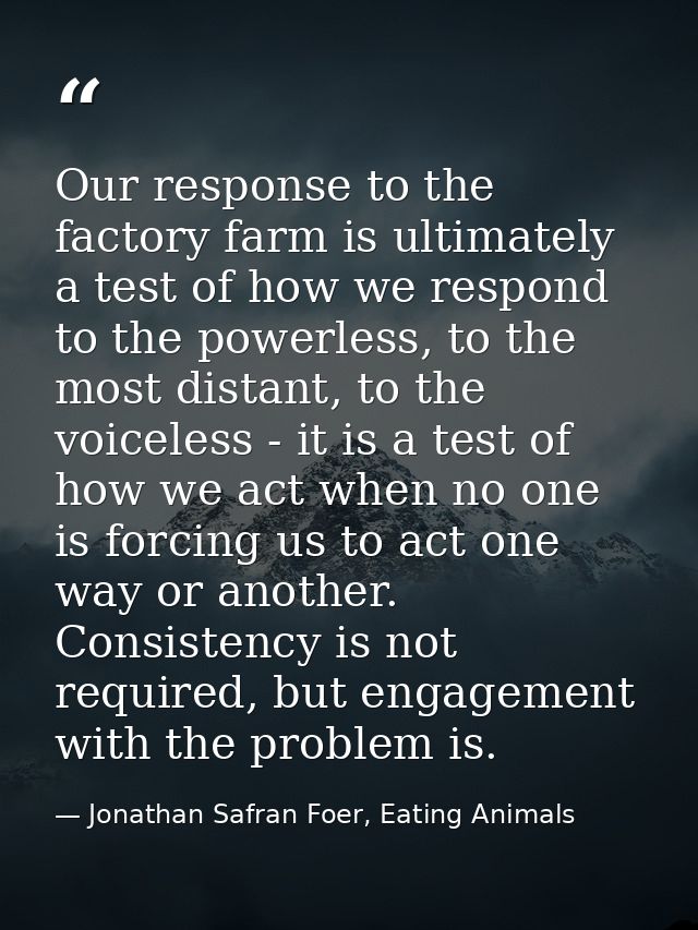 Our response to the factory farm is ultimately a test of how we respond to the powerless, to the most distant, to the vo — Jonathan Safran Foer, Eating Animals