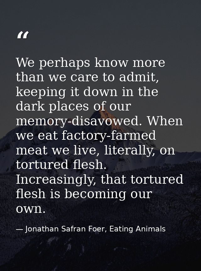 We perhaps know more than we care to admit, keeping it down in the dark places of our memory-disavowed. When we eat fact — Jonathan Safran Foer, Eating Animals