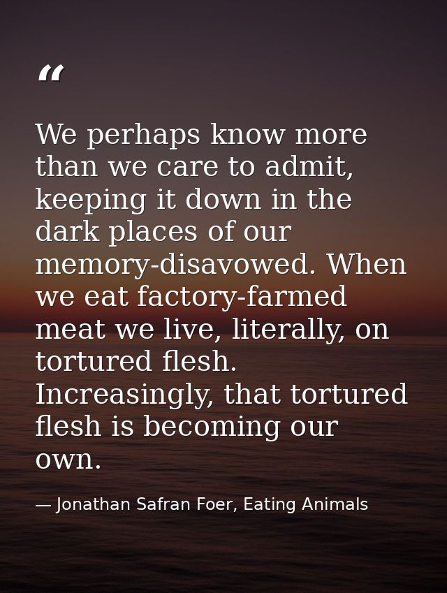We perhaps know more than we care to admit, keeping it down in the dark places of our memory-disavowed. When we eat fact — Jonathan Safran Foer, Eating Animals