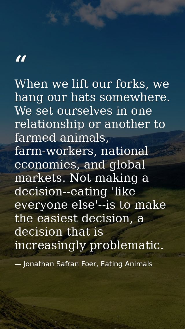 When we lift our forks, we hang our hats somewhere. We set ourselves in one relationship or another to farmed animals, f — Jonathan Safran Foer, Eating Animals