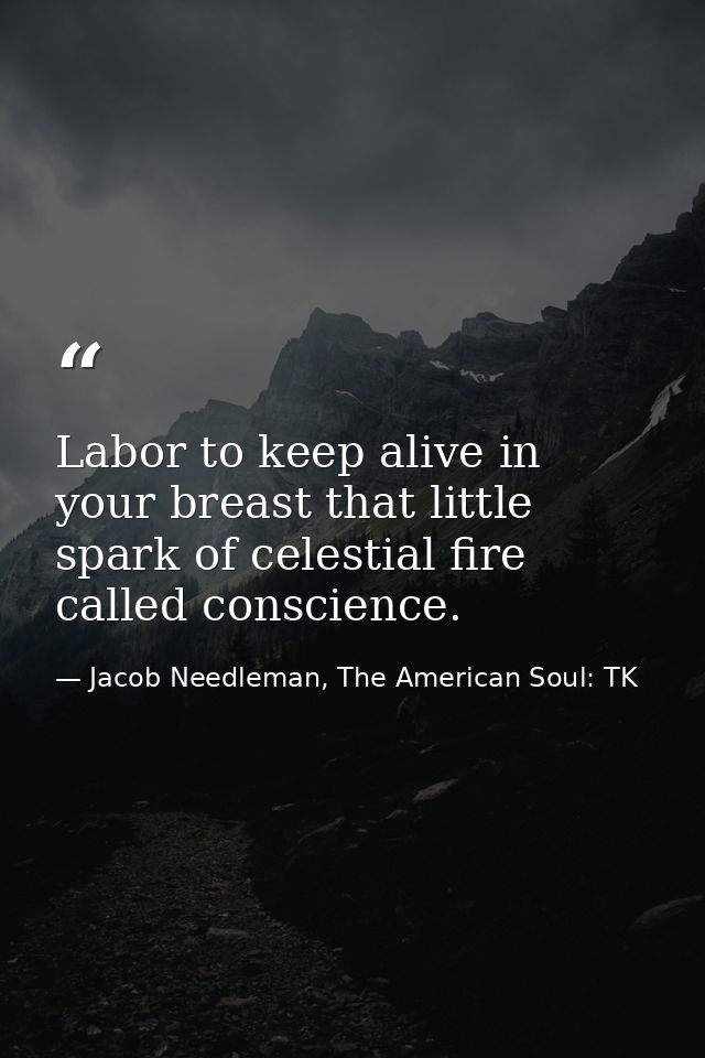 Labor to keep alive in your breast that little spark of celestial fire called conscience. — Jacob Needleman, The American Soul: TK