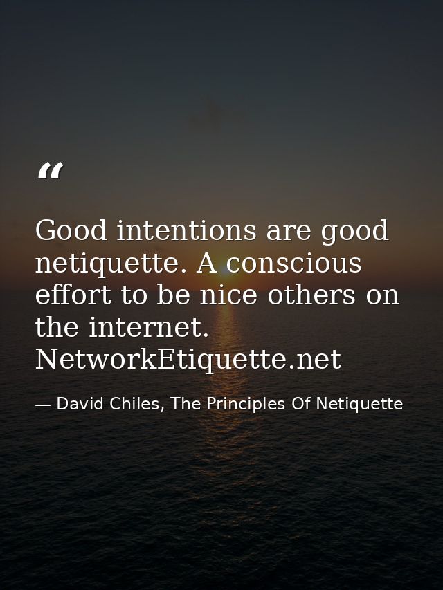 Good intentions are good netiquette. A conscious effort to be nice others on the internet. NetworkEtiquette.net — David Chiles, The Principles Of Netiquette