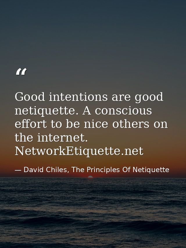 Good intentions are good netiquette. A conscious effort to be nice others on the internet. NetworkEtiquette.net — David Chiles, The Principles Of Netiquette
