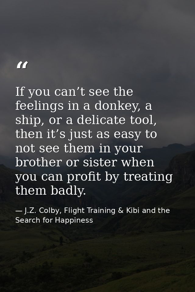 If you can’t see the feelings in a donkey, a ship, or a delicate tool, then it’s just as easy to not see them in your br — J.Z. Colby, Flight Training & Kibi and the Search for Happiness