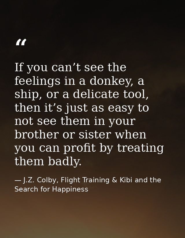If you can’t see the feelings in a donkey, a ship, or a delicate tool, then it’s just as easy to not see them in your br — J.Z. Colby, Flight Training & Kibi and the Search for Happiness