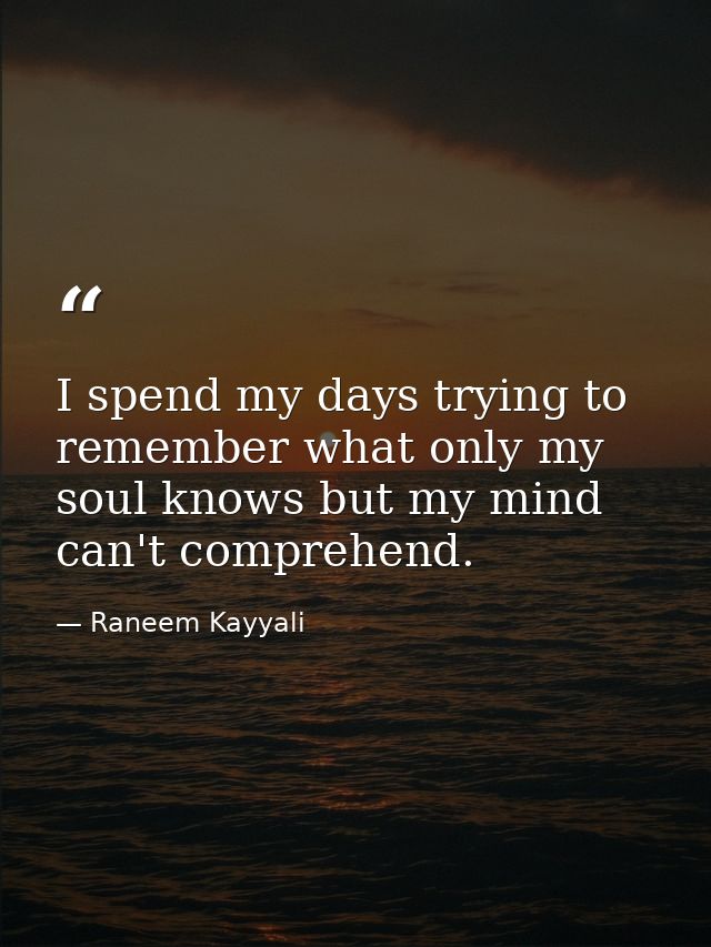 I spend my days trying to remember what only my soul knows but my mind can't comprehend. — Raneem Kayyali