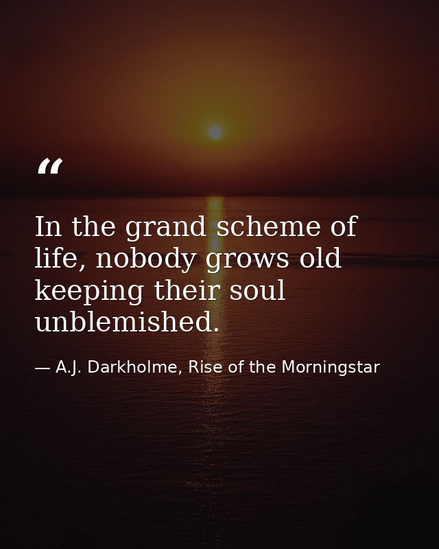 In the grand scheme of life, nobody grows old keeping their soul unblemished. — A.J. Darkholme, Rise of the Morningstar