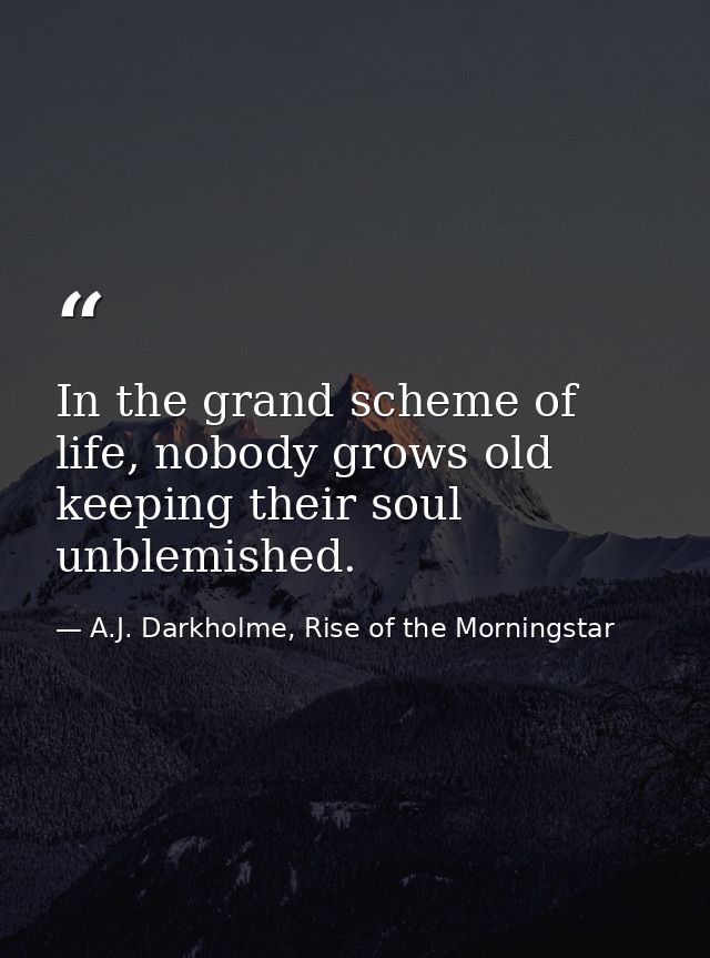 In the grand scheme of life, nobody grows old keeping their soul unblemished. — A.J. Darkholme, Rise of the Morningstar