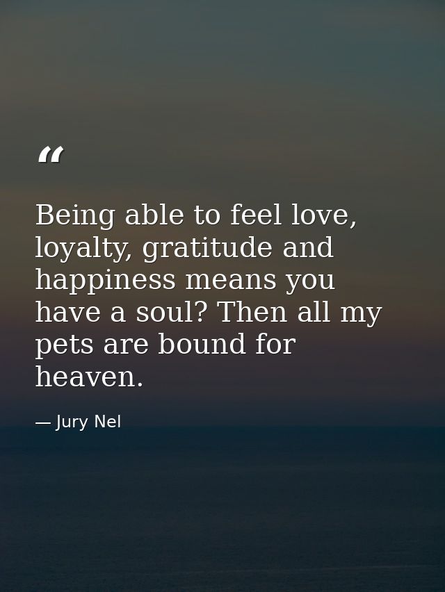 Being able to feel love, loyalty, gratitude and happiness means you have a soul? Then all my pets are bound for heaven. — Jury Nel