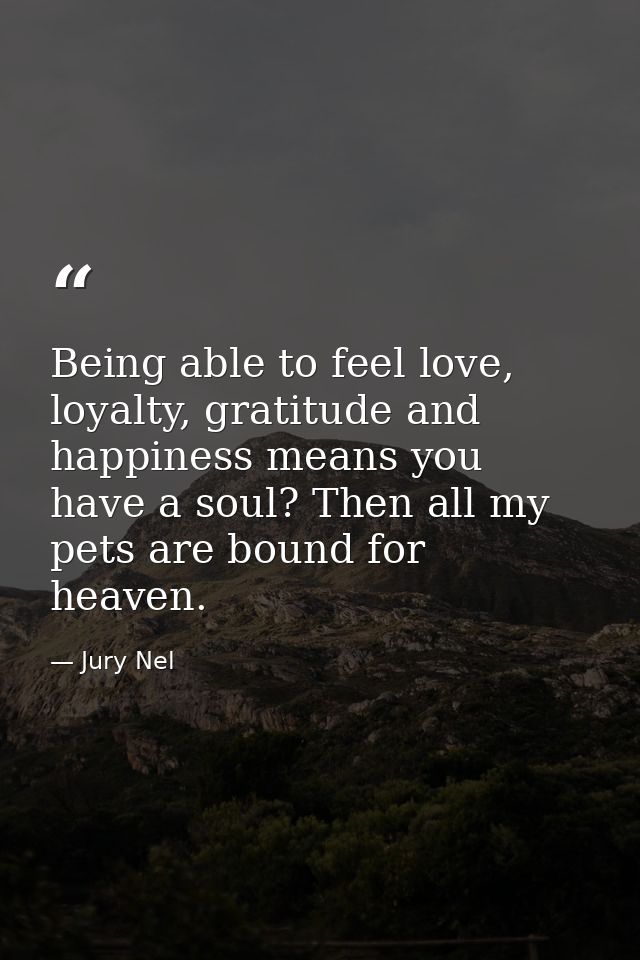 Being able to feel love, loyalty, gratitude and happiness means you have a soul? Then all my pets are bound for heaven. — Jury Nel